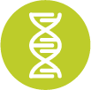 Bioinformatics Research Icon