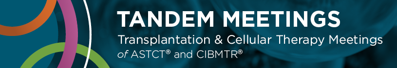 Tandem Meetings Banner