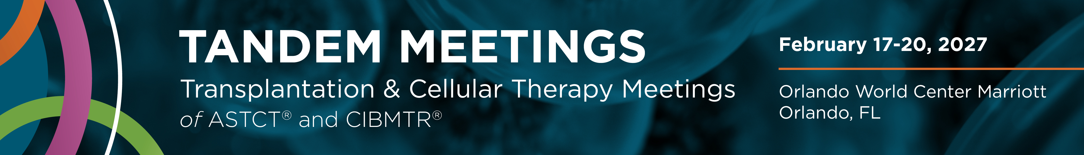 Tandem Meetings Banner