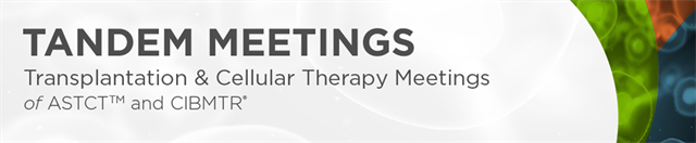 Tandem Meetings Logo