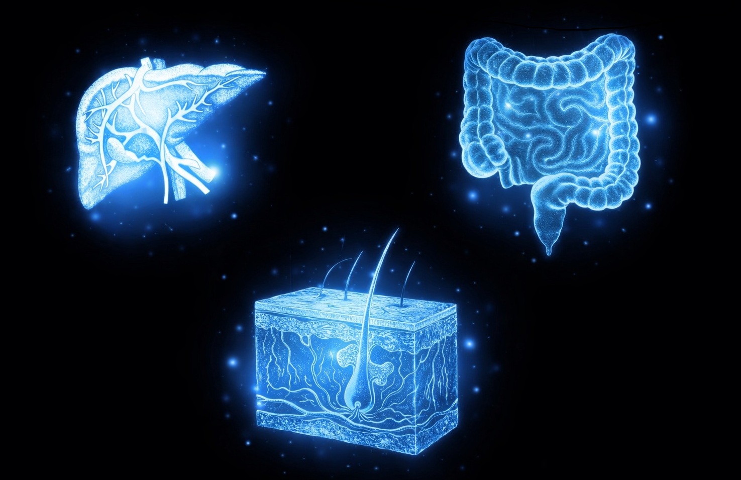 aGVHD Risk Index Calculator Cover Photo